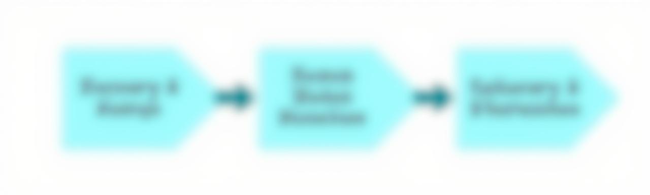 A flowchart representing the three-step consulting process.